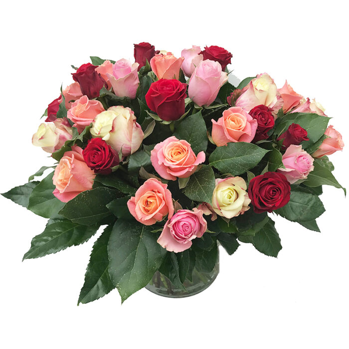 Gemengde Rozen - Afbeelding 1