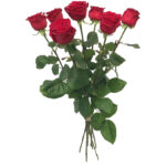 Lange Rode Rozen p/st